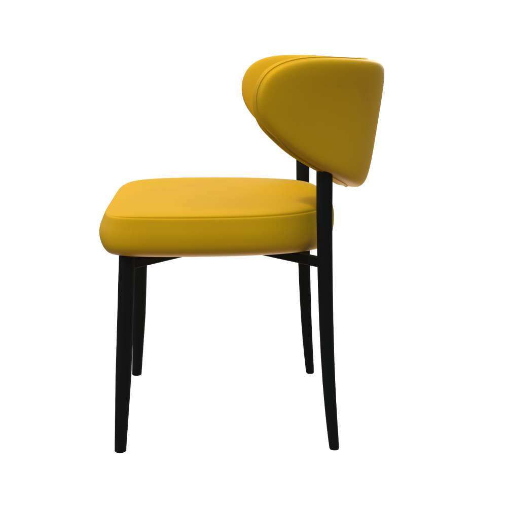 FH-CAM241104 Stylish Metal Leather Chair, Suitable for Any Location - Image 5