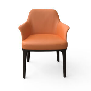 Orange Dining Chair