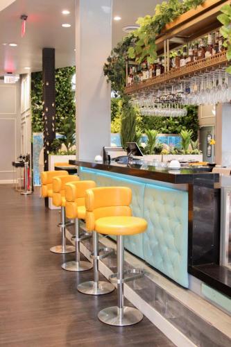 line of buttery yellow PU and chrome barstools