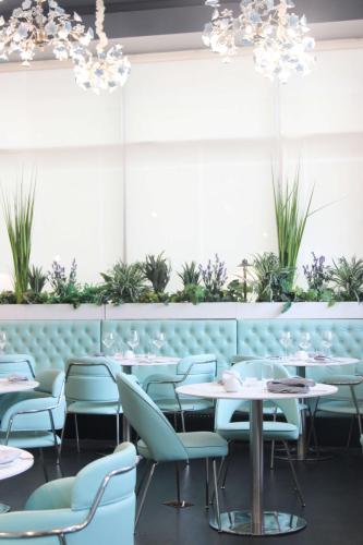 Two separate designs of modern  dining chairs in lively teal surround marble-like sintered stone round tables